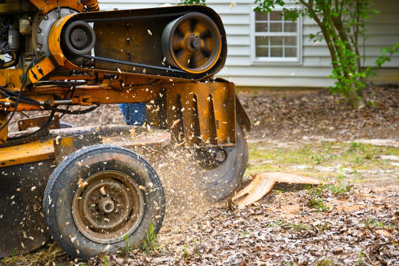 Stump Grinding Operation