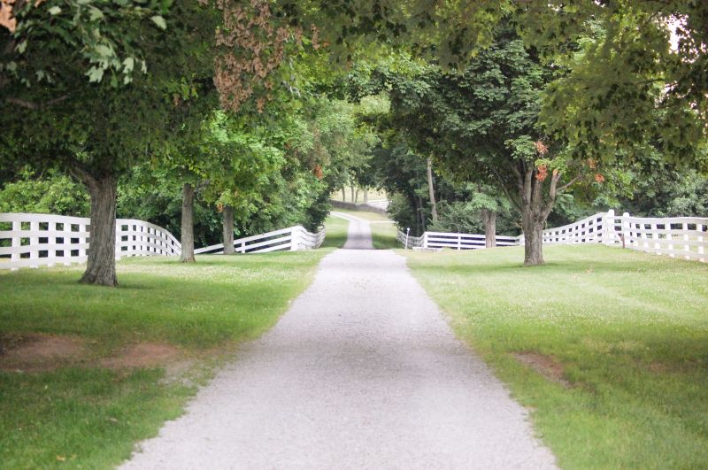 Road and Driveway Clearing