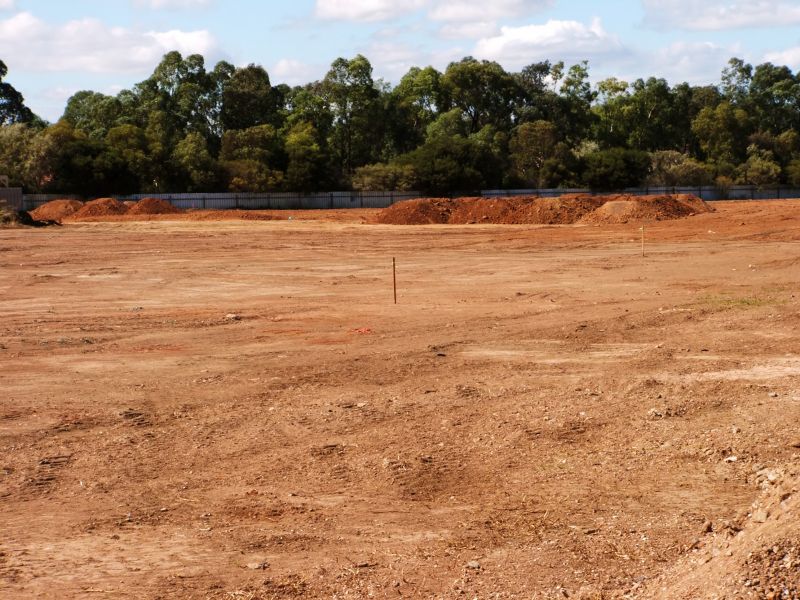 Prepared Site for Development