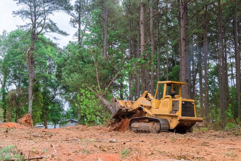 Scheduling Land Clearing