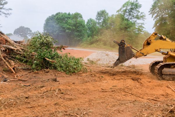 Cost of Forestry Mulching Service in Columbus