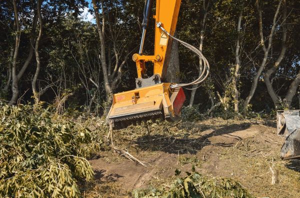 Cost of Brush Removal Service in Columbus