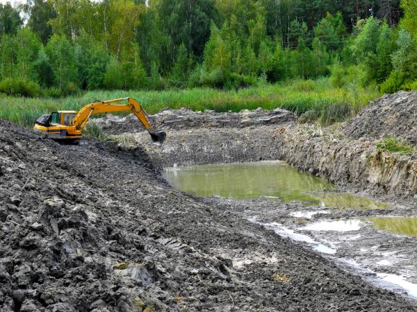 Cost of Lake Lot Clearing in Columbus