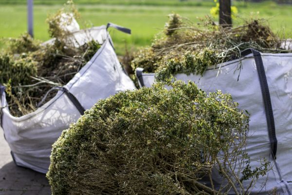 Cost of Bushes Clearing in Columbus