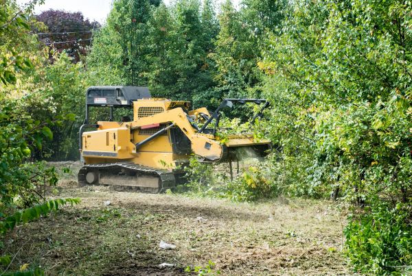Cost of Pathway Clearing in Columbus