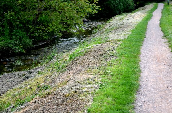 Cost of Trail Cutting in Columbus